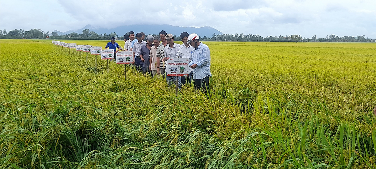 Ảnh bìa bài viết