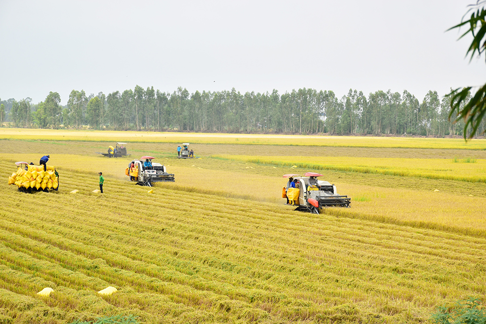 Ảnh bìa bài viết