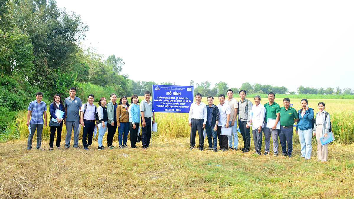 Ảnh bìa bài viết