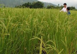 Ảnh bìa bài viết