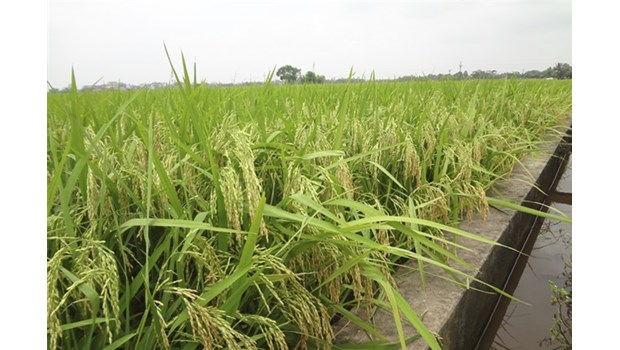 Ảnh bìa bài viết