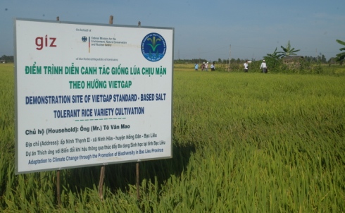 Ảnh bìa bài viết