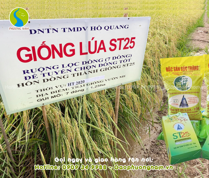 Ảnh bìa bài viết