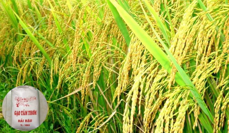 Ảnh bìa bài viết