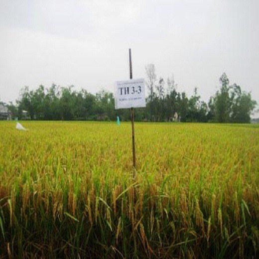 Ảnh bìa bài viết